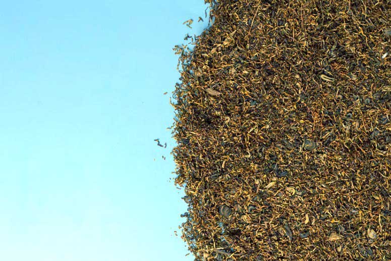 Many pieces of tobacco on a counter