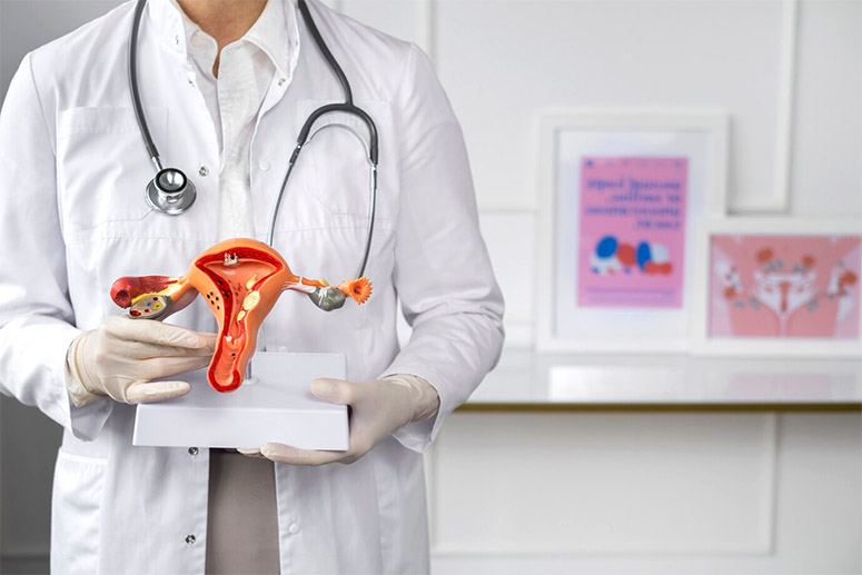 A doctor holds a mock-up of ovaries