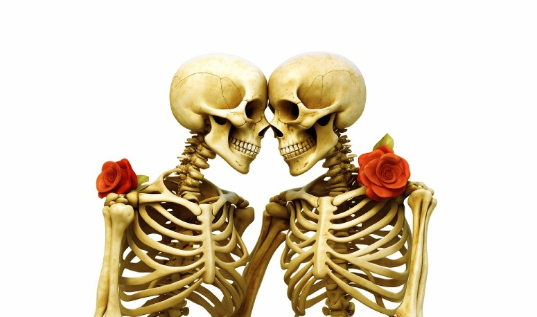 Animated skeletons looking at each other