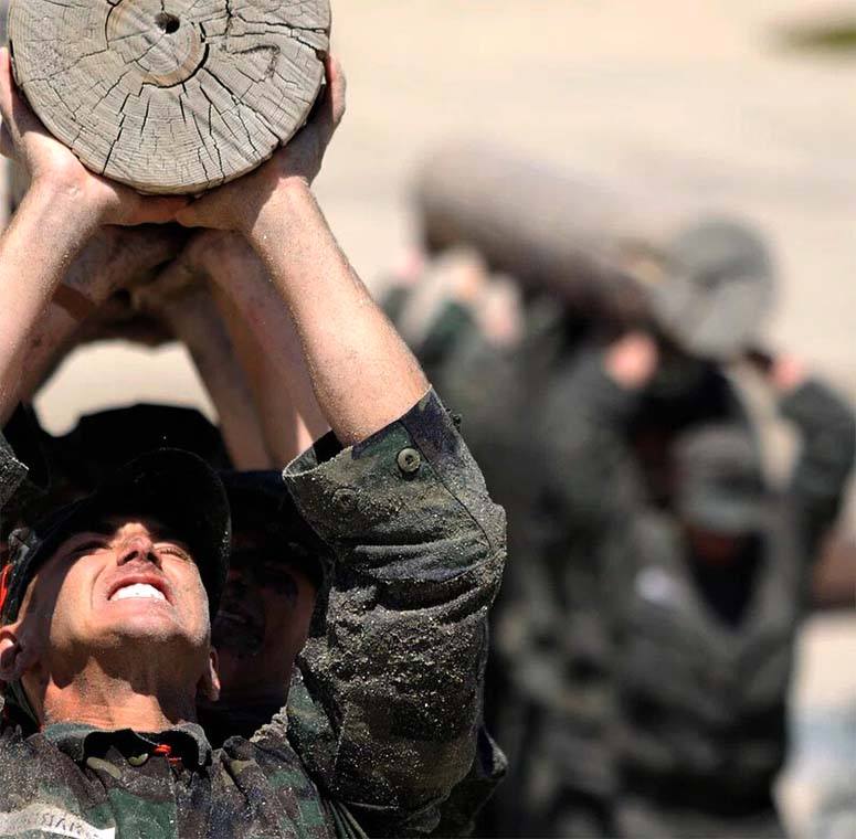 A group of Navy Seals is carrying a large tree