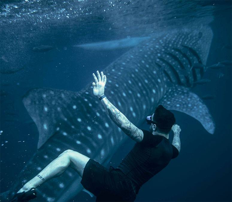 Man and a shark swimming like a couple