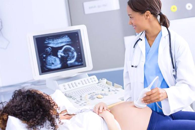 A doctor performs a pregnancy check