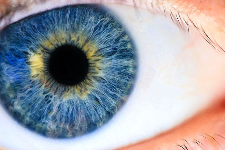 Close-up photo of a blue eye