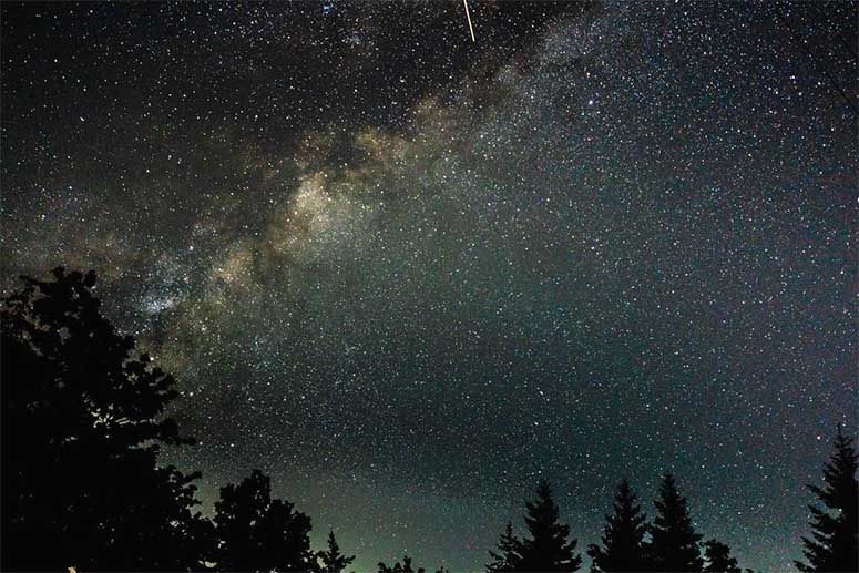 Picture of the sky shot in the forest